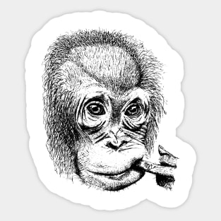 Orangutan Youth Face Sticker